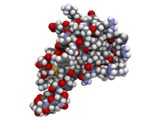 Chemokines