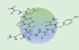 Follicle-Stimulating Hormone