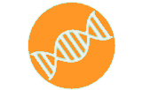 In situ hybridization probes