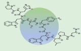 Gonadotropin-Releasing Hormone