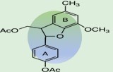 Human Chorionic Gonadotropin