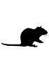 Rat Isotype Control IgM