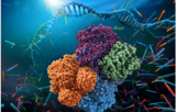 Enzyme Activity Assay