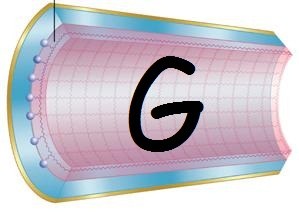 Protein G purification