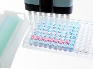  Enhanced Precision with High Sensitivity ELISA Kits