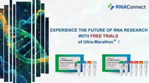 Run better your RT-PCR for free, Test our Marathon RT!  