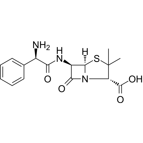 Ampicillin Chemical Structure