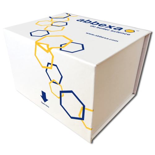 Lipopolysaccharides (LPS) ELISA Kit