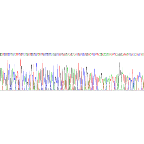 Mouse Nodal Homolog (NODAL) Protein