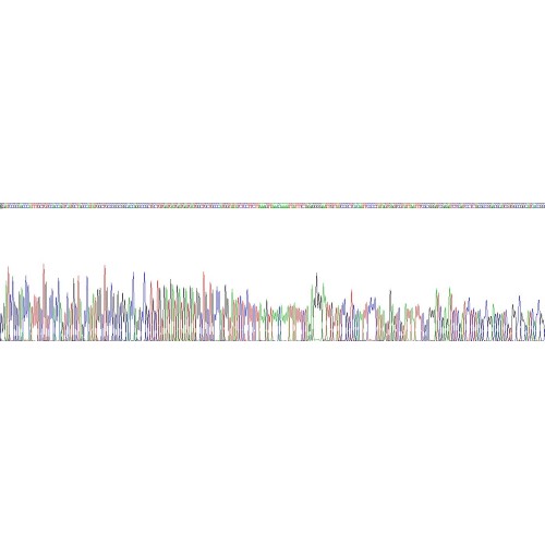 Mouse Nodal Homolog (NODAL) Protein