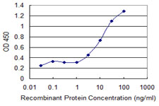 Sandwich ELISA (Recombinant protein)