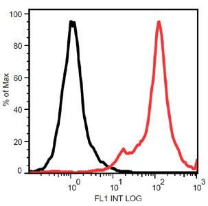 Flow Cytometry