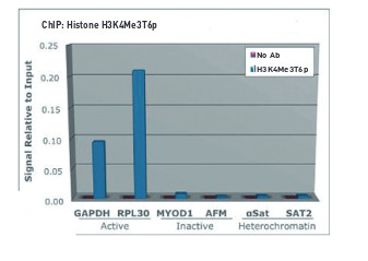 ChIP using anti-H3K4me3T6p antibodies