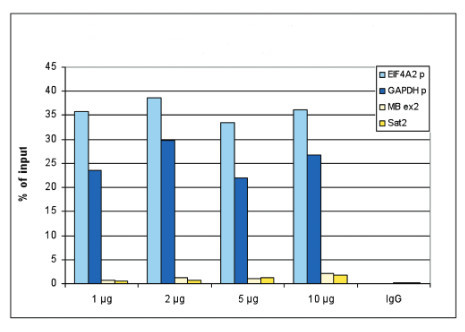 ChIP using anti-H3K4me3 | Histone H3, trimethylated lysine 4 (H3K4me3) antibodies