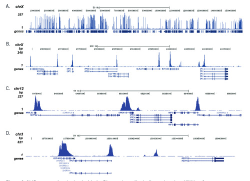 ChIP seq using anti-H3K4me3 | histone H3, trimethylated lysine 4 (H3K4me3) polyclonal antibodies