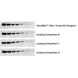 AvivaBlot™ Ultra Femto Comparison