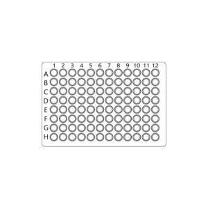 Phospho-IR (Tyr1355) Colorimetric Cell-Based ELISA Kit (OKAG01601)