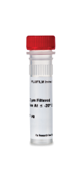 Recombinant Human FGF-5