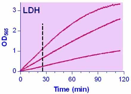 Lactate Dehydrogenase Kit