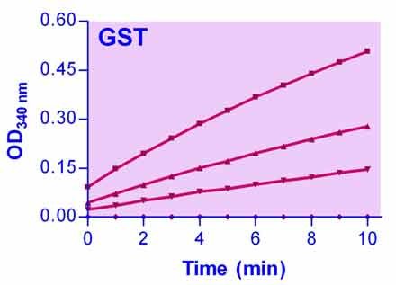 Glutathione S-transferase Assay Kit