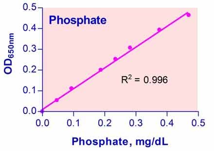 Phosphate Assay Kit