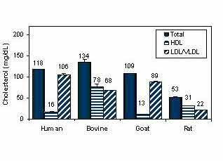 AF HDL and LDL/VLDL Assay Kit