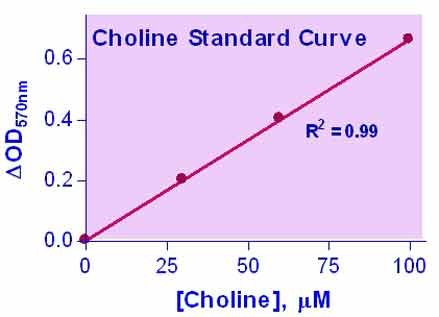 Choline Assay Kit