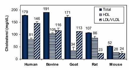 HDL and LDL/VLDL Assay Kit