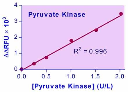 Pyruvate Kinase Assay Kit