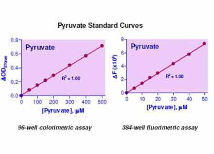 Pyruvate Assay Kit