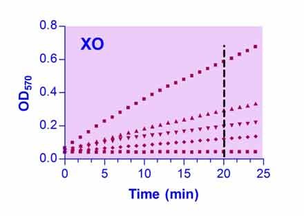 Xanthine Oxidase Assay Kit