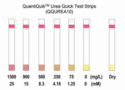 Urea (BUN) Test Quick Strips