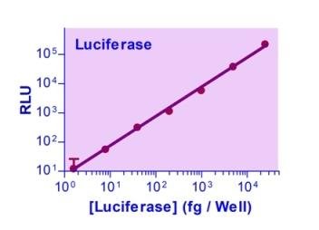 Luciferase Reporter Gene Assay Kit