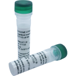 Lyophilized exosomes from human serum of healthy donors (2x100µg vial)