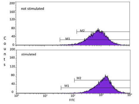 Anti-ATMpS1981 Flow Cytometry