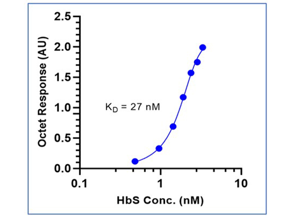 Fitting of Kinetic data of Mouse Anti-HbS