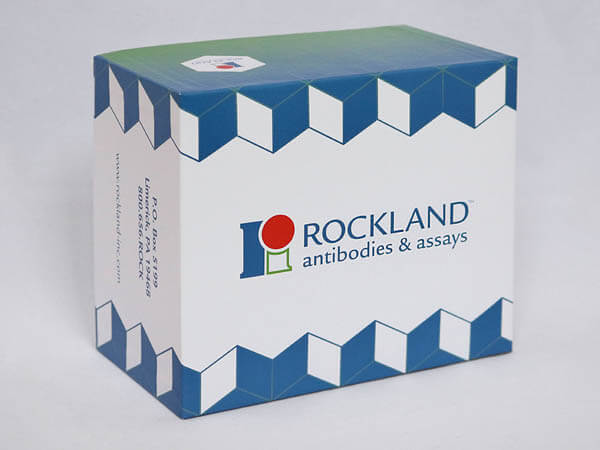 Rockland Anti RFP antibody Kit Box