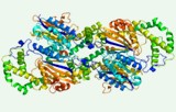 Test d'activité de la phosphatase acide