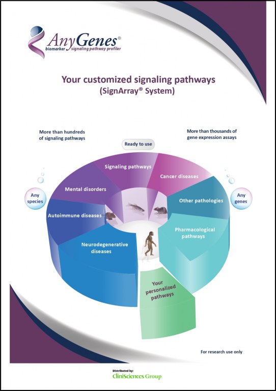 /upload/anygenes-signaling-pathways--bsrtsq.jpg