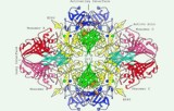 Test d'activité de la galactosidase