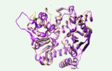 Test d'activité de la glutamate déshydrogénase