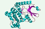 Test d'activité kinase 