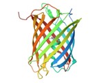 Chromoprotéines non-fluorescentes de type GFP