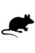 Contrôle d'Isotype IgM de Souris 