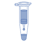 Extraction ADN génomique de bactéries - Colonne de centrifugation