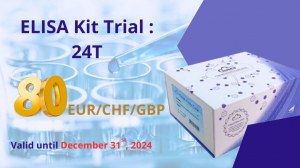 Offre spéciale: Kit ELISA 24T de Cloud-Clone Corp pour seulement 80 EUR/CHF/GBP