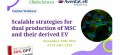 Stratégies évolutives pour la double production de MSC et de leurs dérivées (VE)